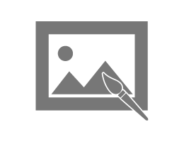 Portfolio icon